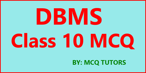 Database Management System Class 10 MCQ with Answer