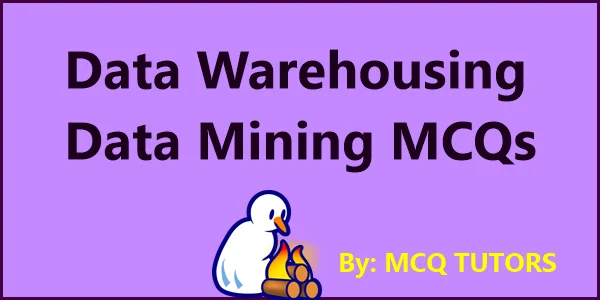 Data Warehousing and Data Mining MCQ